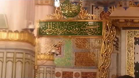 سورة التحريم للشيخ محمد أيوب بجودة عالية