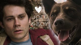 joel & boy | valentines