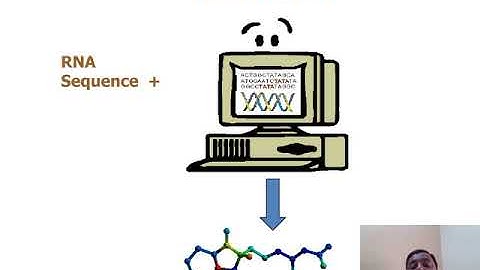 RNA 3D Structure Prediction Method