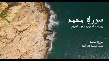 سورة محمد بصوت المقرئ سعود الشريم بدون إعلانات - Sourat Mohammad No Ads
