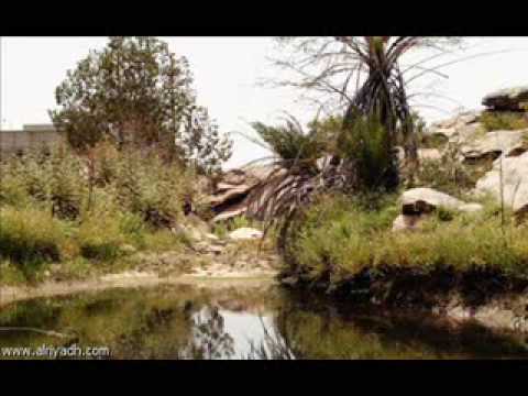 لعب شهري على العود