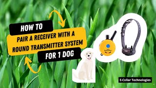How to Pair a Receiver to Dog 1 with Round Transmitter Systems