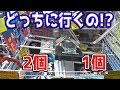 落ちる場所によってGETできる景品数が違う不思議な台【クレーンゲーム】