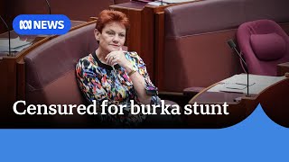 Pauline Hanson Unrepentant Following Senate Burka Stunt Abc News