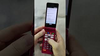 Japan Android flip phone enable developer mode and USB debugging
