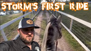 New Horse Gives First Ride!