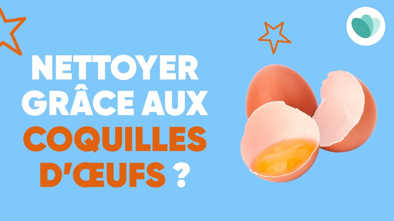 Que faire avec les coquilles d'œufs ?! YouTube — free download