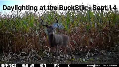 How to Pattern Deer with Mock Scrapes