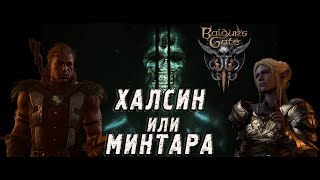 Baldur s gate 3  - Прохождение. Минтара или Халсин. Кого выбрать? На чью сторону встать?