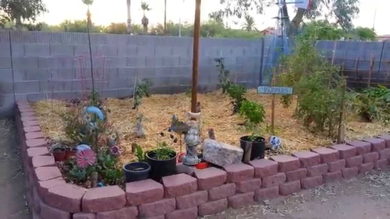 Arizona heatMulching the Garden YouTube