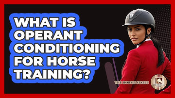 What Is Operant Conditioning For Horse Training? - The Horses Stable