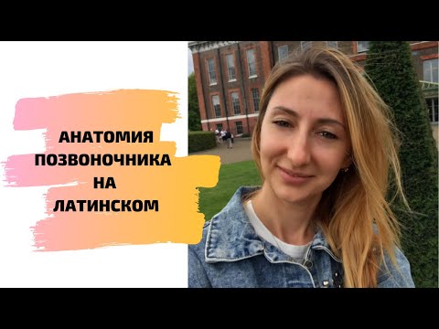 АНАТОМИЯ ПОЗВОНОЧНИКА НА ЛАТИНСКОМ