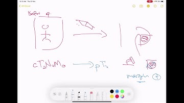 AJCC TNM/stage/Biopsy/TRUS