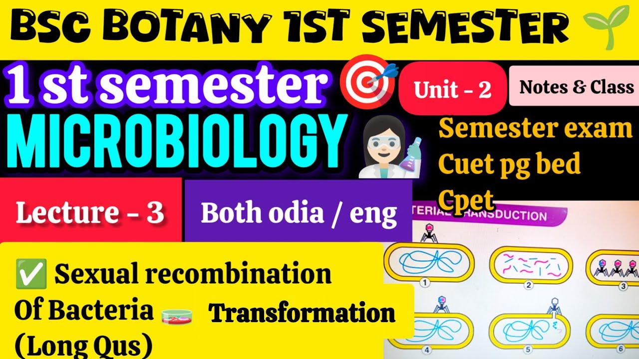 Microbiology | Sexual recombination of bacteria🦠| Transformation 🎯