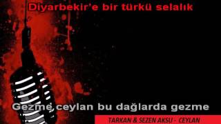 Video thumbnail of "Tarkan & Sezen Aksu   CEYLAN - #KARAOKE"