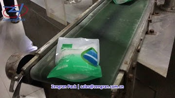 CF8-200 Automatic Rotary Salt Packing Machine - Zengran Pack