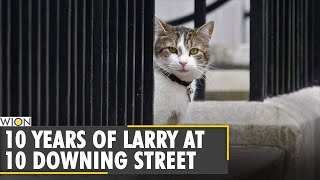 10 Years of Larry at 10 Downing street