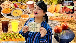 Living on Rs 1000 for 24 Hours Challenge | Jodhpur Food Challenge