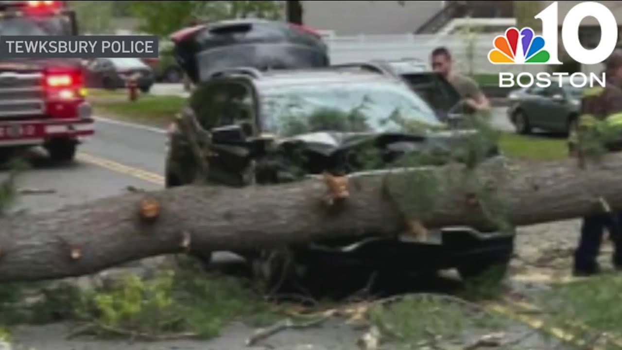 Storm knocks out power, downs trees across Mass. - YouTube