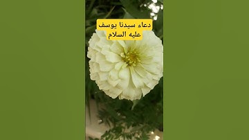 دعاء سيدنا يوسف #اذكار_المساء #دعاء_الرزق #اكسبلور #تيك_توك #اذكار_الصباح #لايك #أذكارالنوم #ترند