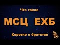 Кто такие Баптисты. Что такое МСЦ ЕХБ. Коротко о братстве. Вы нам писали. Сергей Рудаков.