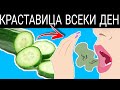 Ето Какво се Случва Ако Ядете Краставица Всеки Ден