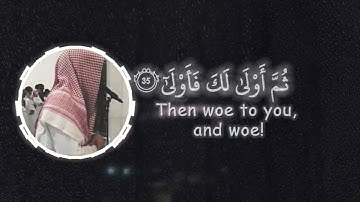 القارئ عبدالرحمن ناجي سورة القيامة ١٤٤٦ #محمد_اللحيدان #1446 #المصلين #تلاوة_خاشعة #عبدالرحمن_ناجي