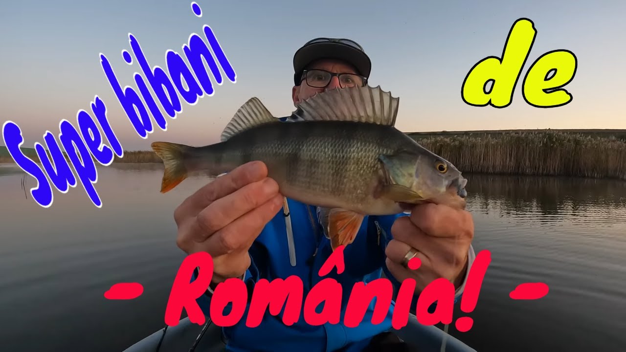 Super bibani de poveste! - YouTube