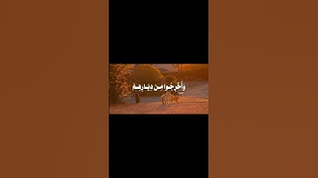 سبحان الله وبحمده سبحان الله العظيم #قرآن #قران_كريم #quran #القرآن_الكريم #تلاوة_خاشعة #تلاوات