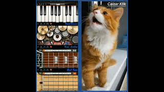 Rock Cat 6