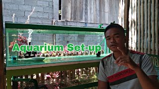 Aquarium Setup for our Ranchu Goldfish | STEP BY STEP #goldfishaquariumsetup