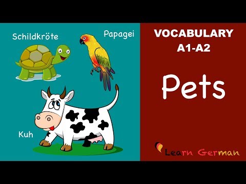 Learn German | German Vocabulary | Haustiere | Pets | A1