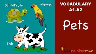 Learn German | German Vocabulary | Haustiere | Pets | A1