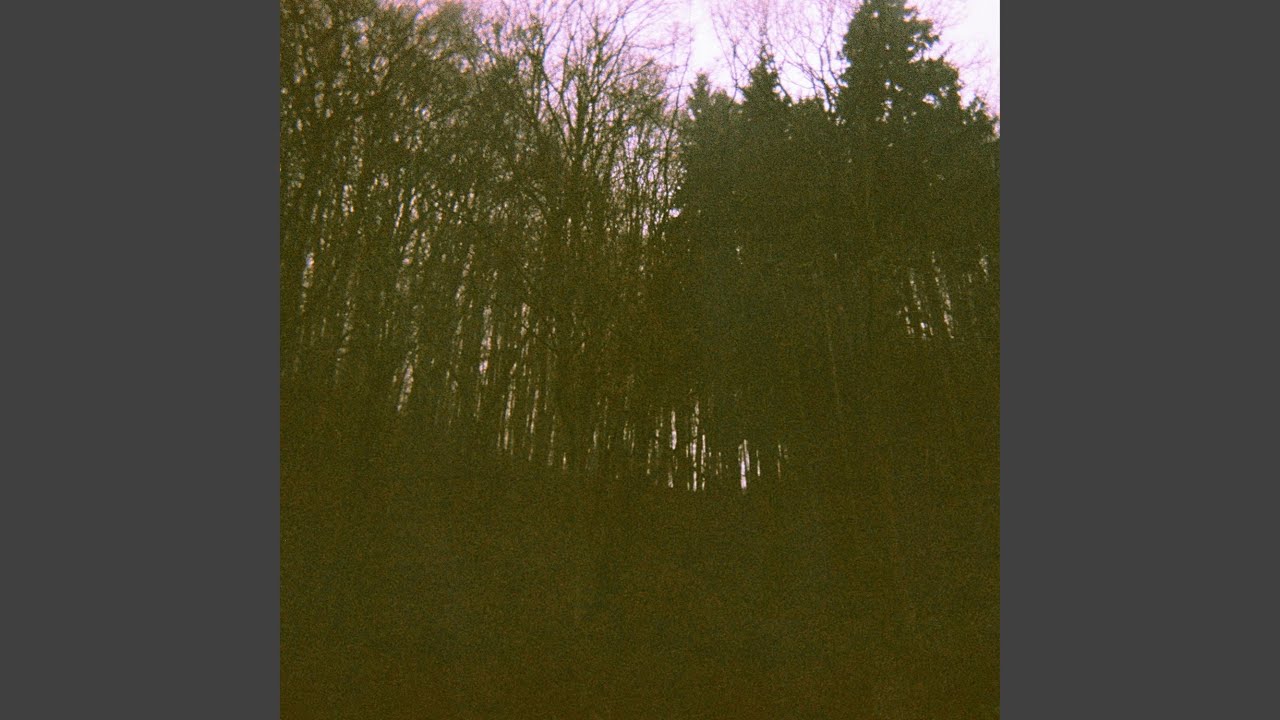 Watch Sequoia Slumber on YouTube Watch Sequoia Slumber on YouTube