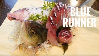 Blue Runner Sushi &amp; Sashimi (American &quot;Aji&quot; Sushi) | (アジの寿司)