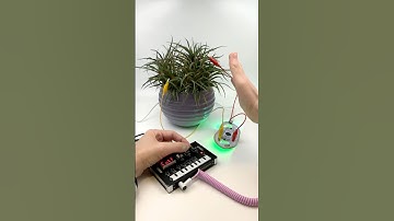 Experimental music with Biotron and NTS-1 🎶🪴✨