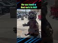 Do we need a Buc-ee's in New Jersey? Let's check it out
