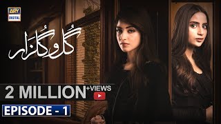 Gul-o-Gulzar | Episode 1 | 13th June 2019 | ARY Digital [Subtitle Eng] screenshot 3