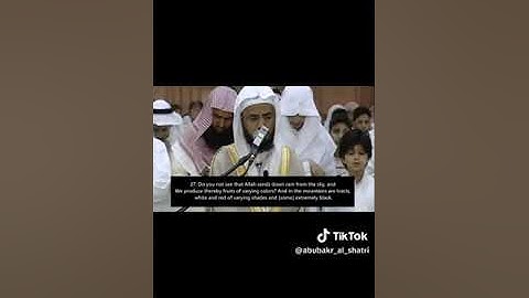 صلاة الفجر اليوم بصوت القارئ الشيخ ابو بكر الشاطري القران الكريم
