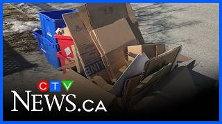 Recycling bin program update