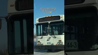 Download Lagu Typical Canada in winter ❄️🇨🇦 #canadalife #canada #canadaimmigration #canda MP3 Download Lagu Typical Canada in winter ❄️🇨🇦 #canadalife #canada #canadaimmigration #canda MP3