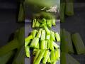 So Satisfying Spring Onion Cut 😍 #shorts #ytshorts #viral
