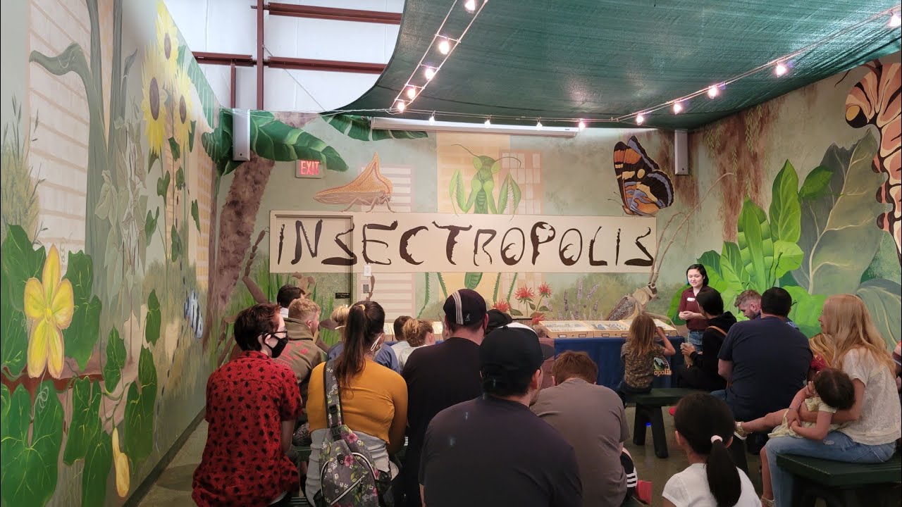 Insectropolis Logo Insectropolis tour - 벌레/곤충 친구들 만나러 왔아요 👋 - YouTube