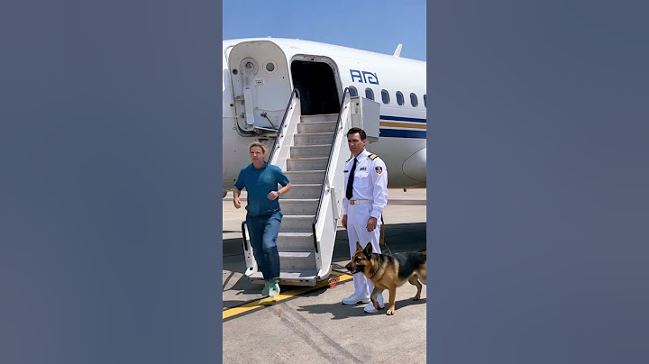 Hero Dog Senses Danger and Stops a Disaster Just in Time!
