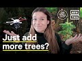 Will Planting Trees Save the Climate? | One Small Step