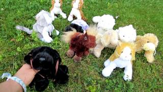 Webkinz Short Film The Scissors