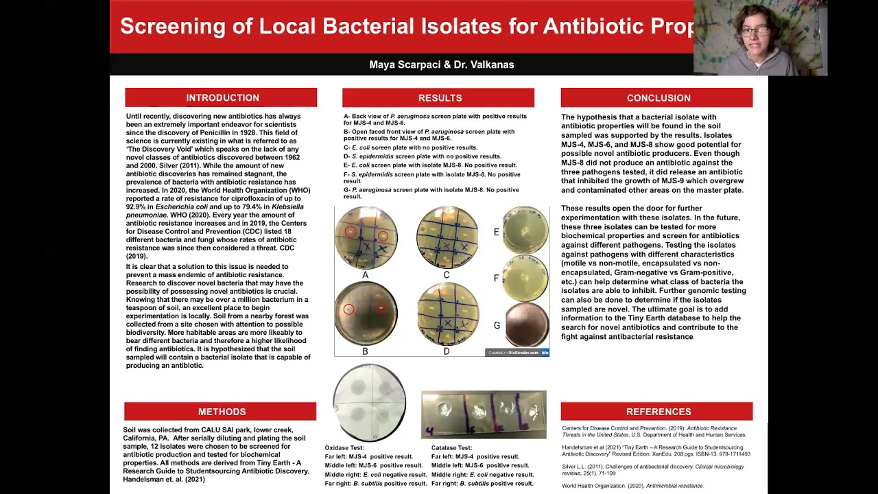 Screening of Local Bacterial Isolates for Antibiotic Properties