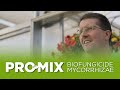 Promix growing media active ingredients biofungicide  mycorrhizae