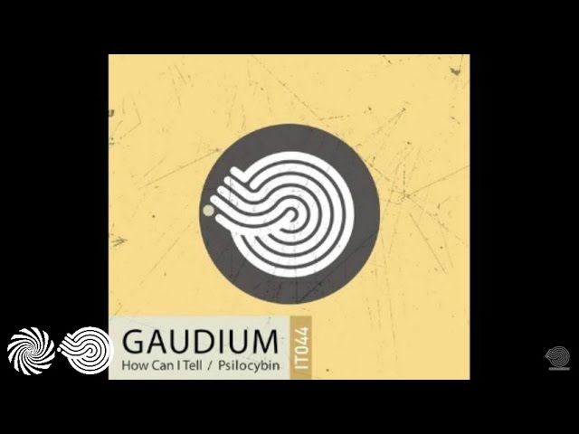Gaudium - Psilocybin