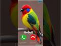 OnePlus Ringtone | OnePlus New Mobile Phone Ringtone 2025 #shorts #youtubeshorts #shortsfeed #music